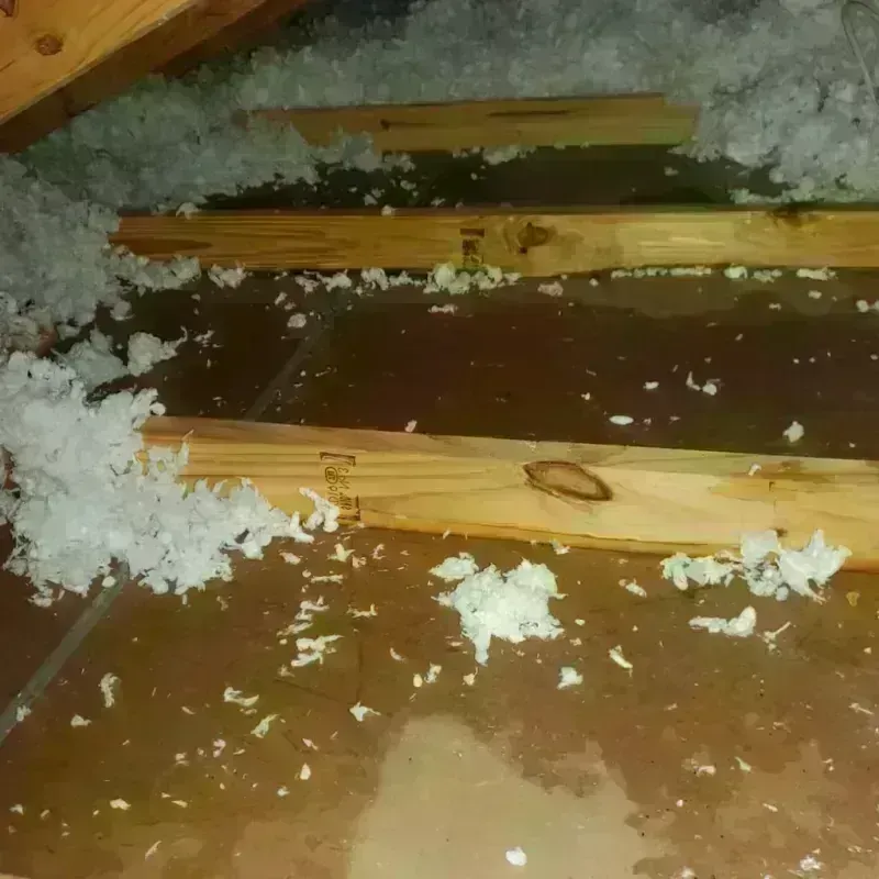 Attic Water Damage in Elon, NC