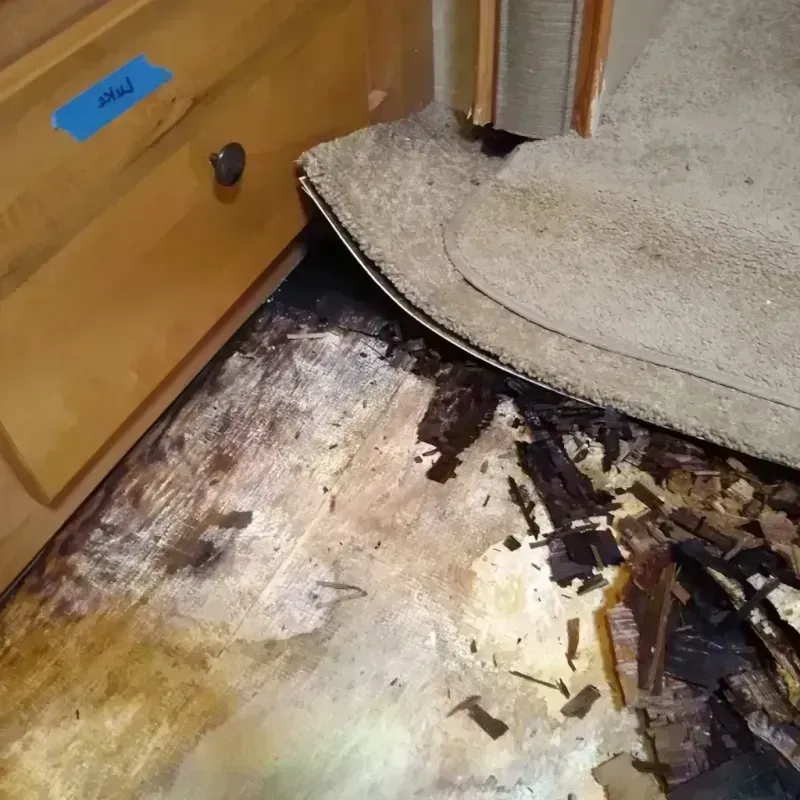 Wood Floor Water Damage in Elon, NC